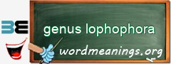 WordMeaning blackboard for genus lophophora